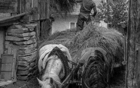 "Gmina Opat&oacute;w na przestrzeni wiek&oacute;w" 6