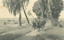 "Gmina Opat&oacute;w na przestrzeni wiek&oacute;w" 7