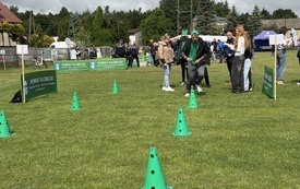 III Powiatowa Olimpiada Specjalna "Spełniamy marzenia", zdj.  3