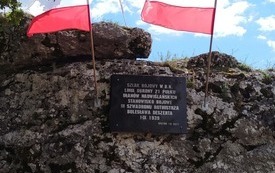 Uroczystości na G&oacute;rze Opatowskiej, zdj. 22