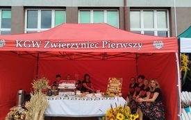 &bdquo;Babie lato, czyli Dożynki w Gminie Opat&oacute;w&rdquo; - relacja, zdj. 47