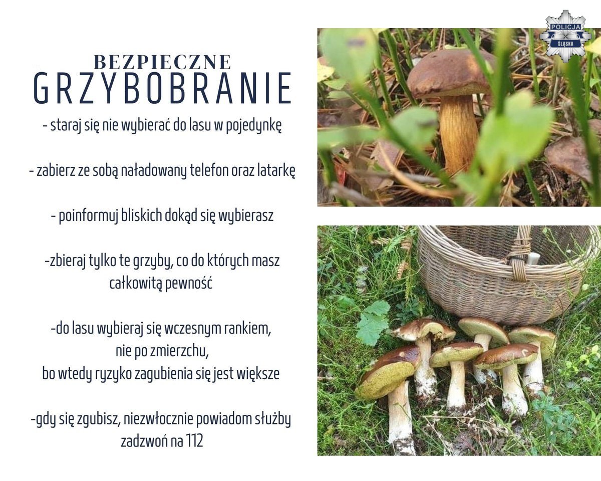 Grafika ilustrująca do artykułu.