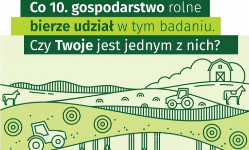 Grafika ilustracyjna