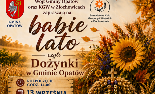 Grafika ilustracyjna
