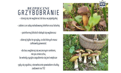 Grafika ilustracyjna