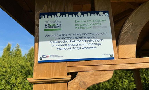 Grafika ilustracyjna